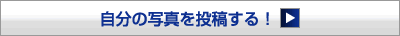 自分の写真を投稿する
