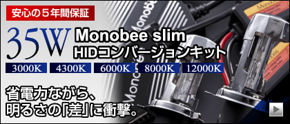 35W Monobee slim