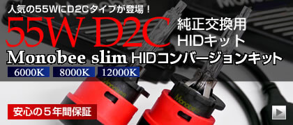 55W D2C Monobee slim